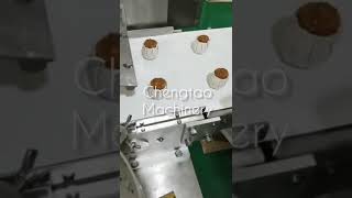 全自动烧卖机Automatic sticky rice siomai machine CHENGTAO