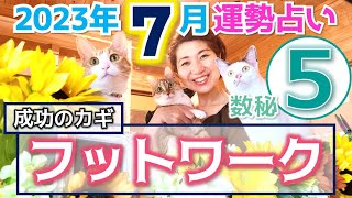 【数秘⑤の方へ】2023年7月運勢「フットワークが成功のカギ」