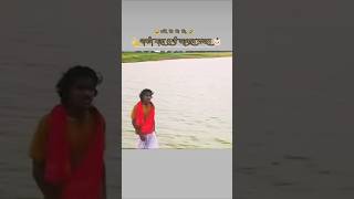 Dhan ke chinlu #new trending song #funnyvideo