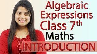 Algebraic Expressions - Chapter 10 - Introduction - NCERT Class 7th Maths Solutions
