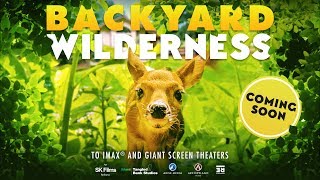 Backyard Wilderness OFFICIAL TRAILER - COMING SOON to IMAX®/Giant Screens