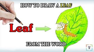 Wordtoons #4: How to turn Words LEAF into a Cartoon LEAF for kids / How to Draw and Color a LEAF