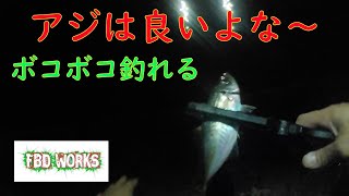 アジが入れ食いの堤防【アジング】