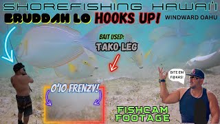 SHOREFISHING HAWAI'I: BRUDDAH LO HOOKS UP!  O'IO FRENZY 🎣👀🤙🏽 #fishinghawaii  #fishingmethods  #O'io