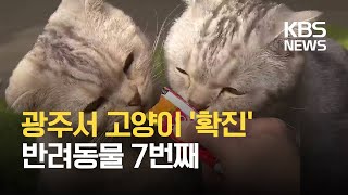 광주서 고양이 코로나19 확진…반려동물도 2주 자가격리 / KBS 2021.03.07.