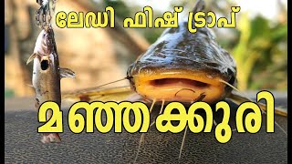 Fishing Fish /lady angler /Ayamanam_fishing _Tour # Kerala fishing/Fish Farming in Kerala