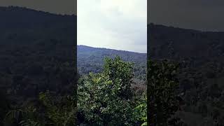 പുരളിമല വ്യൂ പോയിൻ്റ്  purali Malayalam view point #nature #travel #mountains #flutesong