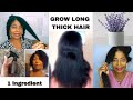 ONLY ONE INGREDIENT AND YOUR HAIR WILL GROW LIKE CRAZY/EXTREME HAIR GROWTH SPRAY