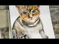 Cat watercolor painting tutorial for beginners / watercolor artwork #forbeginners #arttutorial #art