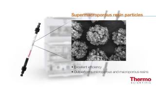 Thermo Scientific Dionex IonPac 4µm Columns