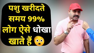 पशु खरीदते समय धोखाधड़ी से कैसे बचें|How to Purchase Cow Buffalo in SALE | Dairy Farm