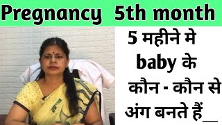 Pregnancy 5th month/ 5 महीने में शिशु विकास/Drhome