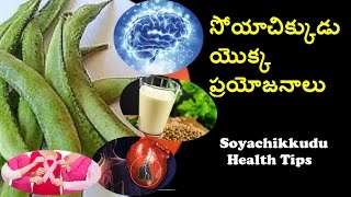 Health Benefits Of Soya beans,సోయా చిక్కుడు యొక్క ప్రయోజనాలు