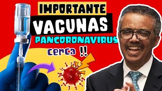 IMPORTANTE ⚠️ CIENTÍFICOS DESCUBREN BASES PARA DESARROLLO DE "VACUNAS PANCORONAVIRUS