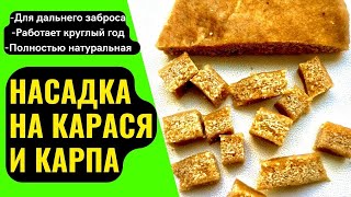 Насадка для рыбалки, которая собирает КАРАСЯ и КАРПА. Подойдёт для фидера и донки.