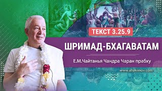 26/09/2023 Шримад-Бхагаватам 3.25.9. Е.М. Чайтанья Чандра Чаран прабху. Ростов-на-Дону