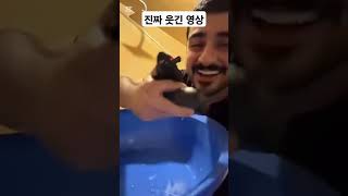 진짜 웃긴 영상 #funny #fun #funnyvideo #funnyshorts #laugh #웃긴영상 #웃긴짤 #웃긴