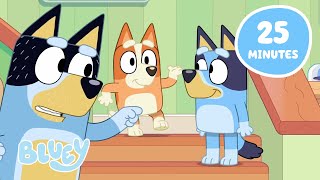 Bluey Games with Chilli and Bandit ☺️ | Bluey