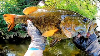 How to Catch BIG River Fish in Harsh Conditions! - (NEW PB Smallmouth)