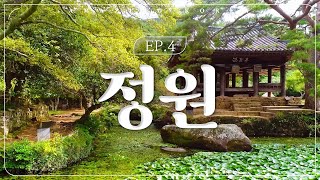 Amazing Korea | ep.4 Garden