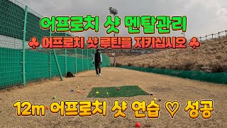 파크골프 12m 어프로치 샷 연습, 파크골프 어프로치 샷 멘탈관리 방법, 파크골프치는법 파크골프동영상 파크골프 숏게임