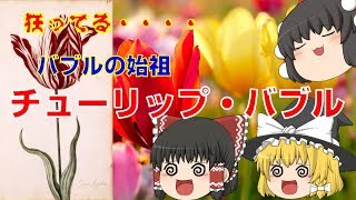 バブルの始祖　チューリップ・バブルの解説