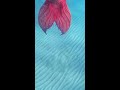 pink mermaid swims to the ocean’s surface mermaid beach ocean bahamas travel underthesea h2o