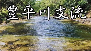 札幌の渓流延べ竿釣行［北海道］［渓流釣り］