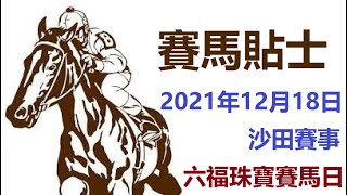 賽馬貼士 沙田賽事 (2021年12月18日) [六福珠寶賽馬日]