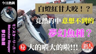 白燈紅甘大咬！？竟然釣中意想不到的夢幻魚種！？大的啦大的啦！！！(岸拋 鐵板 餌木 木蝦 路亞 船拖 船釣軟絲 花枝 紅甘 煙仔虎 煙虎 鬼頭刀 GT 土魠)