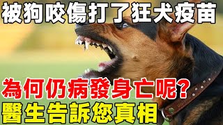 被狗咬傷打了狂犬疫苗，為何仍病發身亡呢？ 醫生告訴您真相#科普頻道 #科普 #宠物