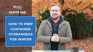 How to Prep Container Hydrangeas for Winter