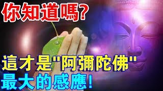 你的“感覺”對了嗎？這才是“阿彌陀佛”的最大感應！