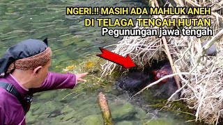 Untung direkam.!! terlihat mahluk aneh di telaga pegunungan jawa tengah