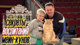 СЕКРЕТЫ НА МИЛЛИОН! Рецепт воспитания КОТЭ МЕЙН-КУНОВ. Закрытая репетиция в  цирке Алматы