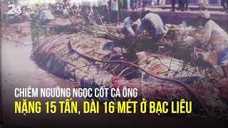 Chiêm ngưỡng ngọc cốt cá Ông nặng 15 tấn, dài 16 mét ở Bạc Liêu | VTV24