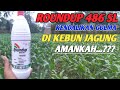 JAGUNG AMAN DENGAN HERBISIDA INI❌BENIH JAGUNG  DEKA95R