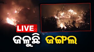 Live | ଜଳୁଛି ଜଙ୍ଗଲ, କେବେ ଲାଗିବ ବ୍ରେକ୍ ? | Odisha Forest Fire Mishap | OTV