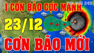 Tin bão Mới Nhất | Dự báo thời tiết hôm nay ngày mai 23/12 | dự báo thời tiết 3 ngày tới#thoitiet