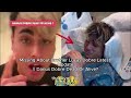 youtuber darius dobre missing about brother lucas dobre latest update darius dobre dead or alive