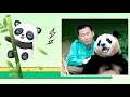 🐼🐼💖熊猫爱好者的天堂，专注于分享那些可爱的熊猫及其日常生活的点点滴滴