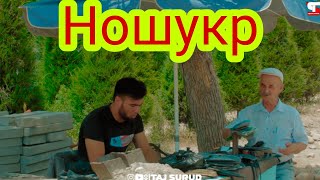 Пояфзолдузи Ношукр