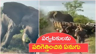 పర్యటకులపై ఏనుగు దాడి.. సఫారీ వాహనం ధ్వంసం || ELEPHANT ATTACKS TOURISTS SAFARI IN SOUTH AFRICA