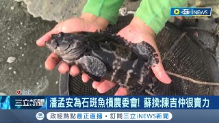 連外國人都來挺! 石斑魚業者感動\