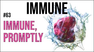 Immune 63: Immune, promptly