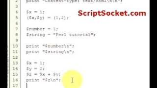 Perl Tutorial 3 - Variables