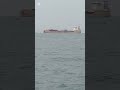 spotted cargo ship taho oceania short video @ andy pondales vlog