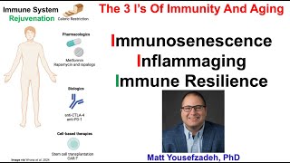 Immunosenescence, Inflammaging, And Immune Resilience: Matt Yousefzadeh, PhD