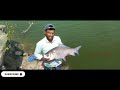 katla fish catching 7kg big fish amezing hyderabad fishing trend