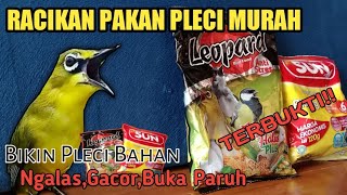 RACIKAN PAKAN PLECI AGAR BUKPAR, MERACIK PAKAN PLECI MURAH BIKIN GACOR BONGKAR ISIAN